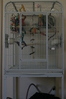 Slightly wider cage shot