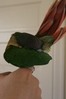 Self-preening